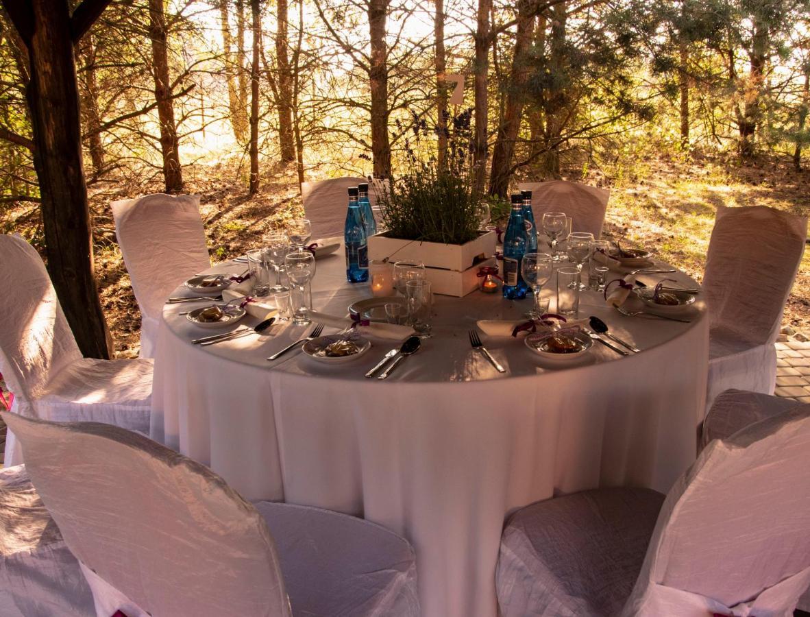 Dolina Bobrow Villa Siennica Dış mekan fotoğraf
